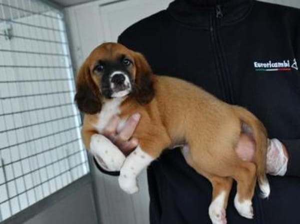 Darf Clotilde Ihre Familie bereichern?