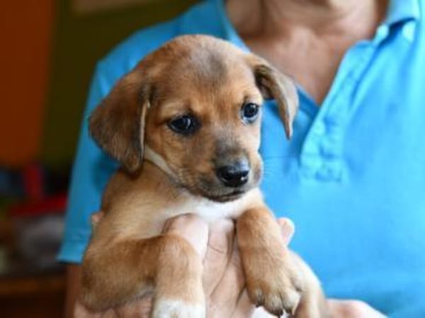 Lalla möchte Sie kennenlernen