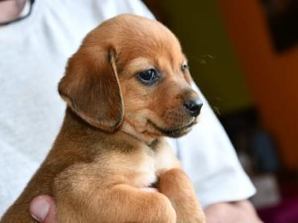 Lalla möchte Sie kennenlernen