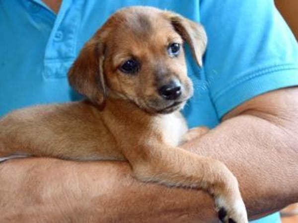 Lalla möchte Sie kennenlernen