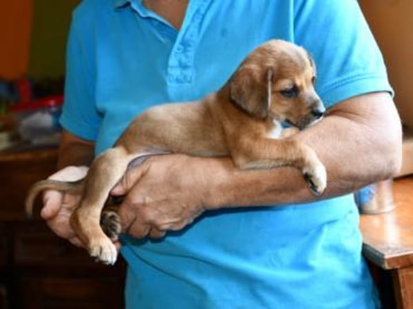 Lalla möchte Sie kennenlernen