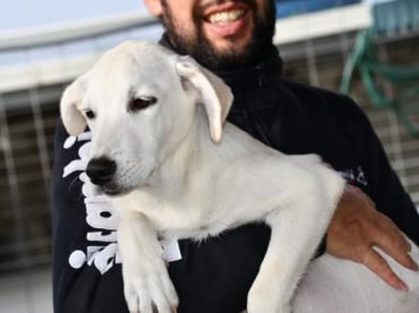 Familie für Tundra gesucht