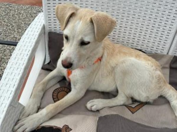 Baran möchte Ihre Familie bereichern?