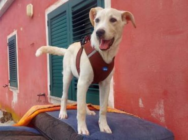 Baran möchte Ihre Familie bereichern?