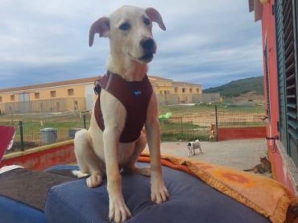 Baran möchte Ihre Familie bereichern?