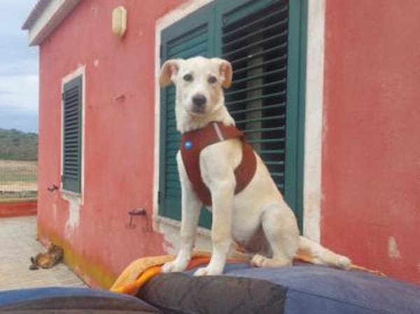 Baran möchte Ihre Familie bereichern?