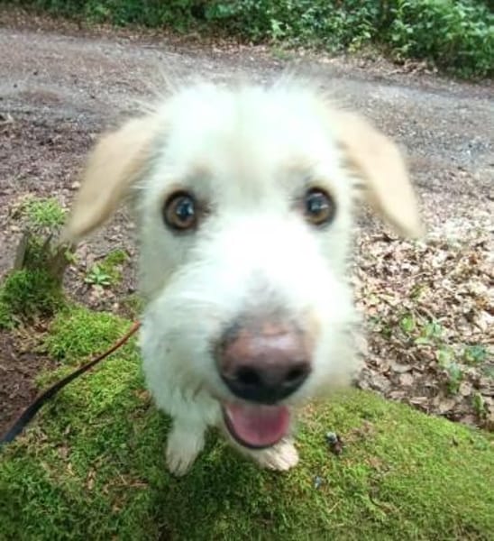 Kira möchte endlich ankommen!