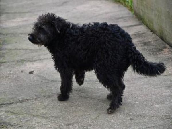 Clio möchte Vertrauen fassen