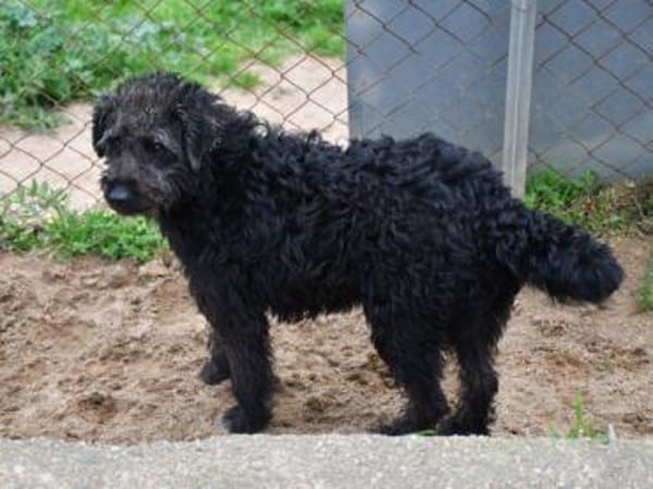 Clio möchte Vertrauen fassen