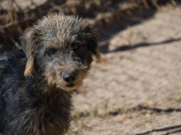 Clio möchte Vertrauen fassen