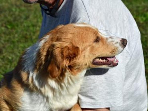 Liebe Menschen für Nani gesucht