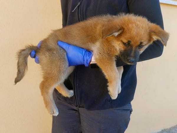 Oriana wünscht sich glückliches Leben