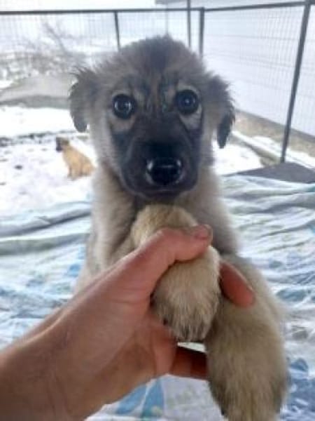 Martha 30 cm (Jan 26) Pflegestelle