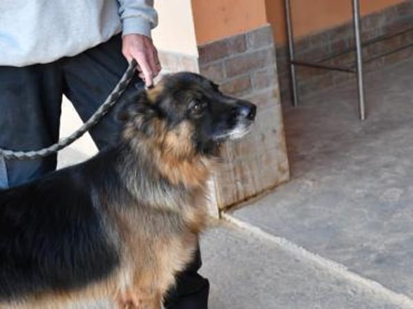 Ayo sucht aktive Menschen