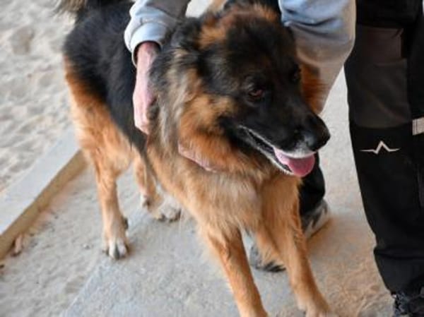 Ayo sucht aktive Menschen