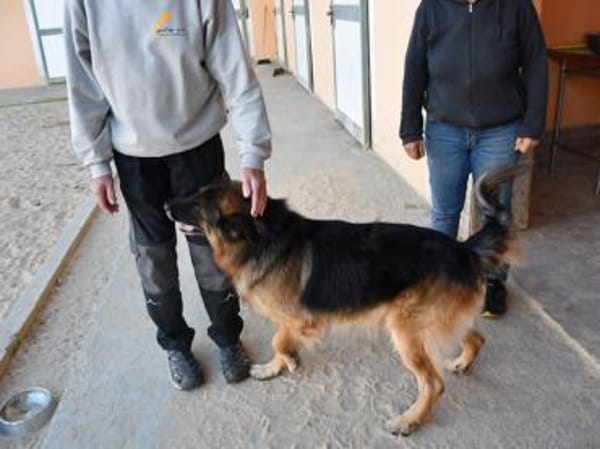 Ayo sucht aktive Menschen