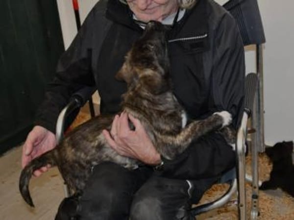 Wollen Sie Milka ein Zuhause geben?