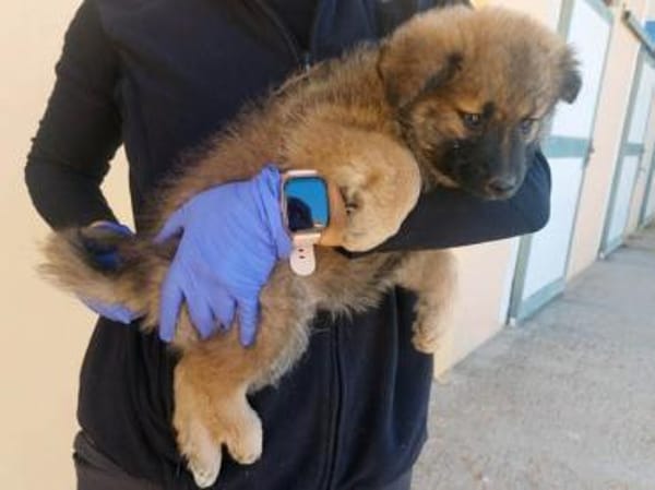 Olivia wünscht sich eine Familie