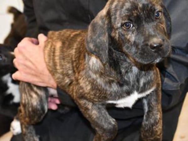 Mimma sucht ihr Traumzuhause