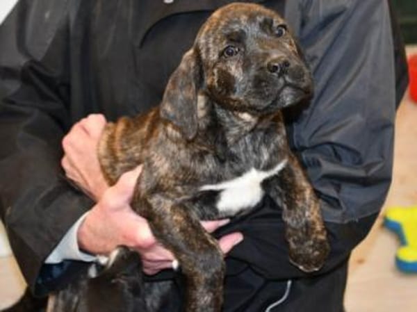 Mimma sucht ihr Traumzuhause