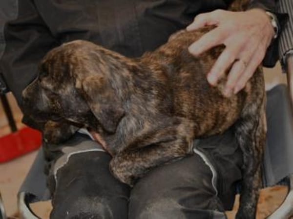 Mimma sucht ihr Traumzuhause