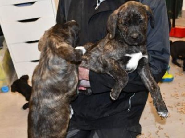 Mimma sucht ihr Traumzuhause