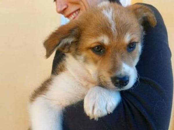 Oro wünscht sich seine Familie