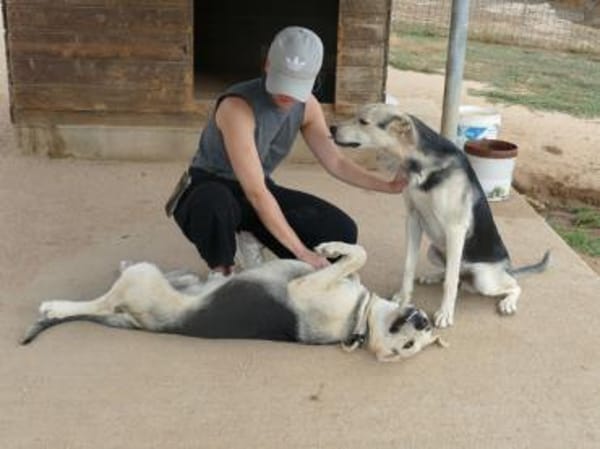 Bonito freut sich auf sein neues Leben