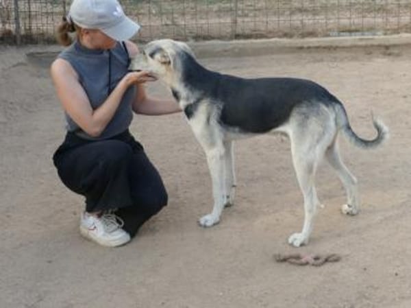 Bonito freut sich auf sein neues Leben