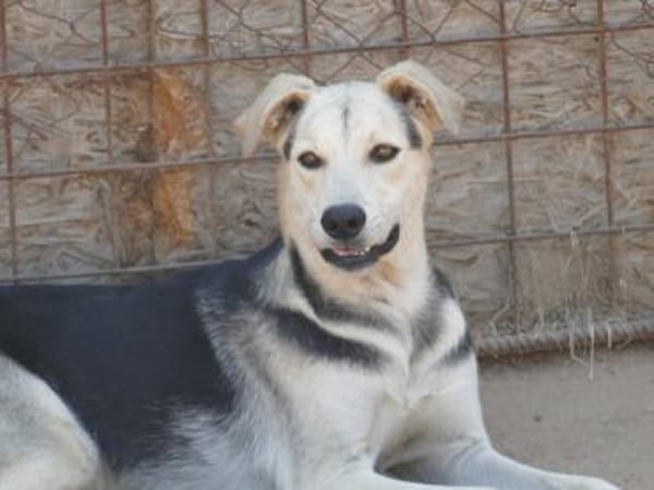 Bonito freut sich auf sein neues Leben