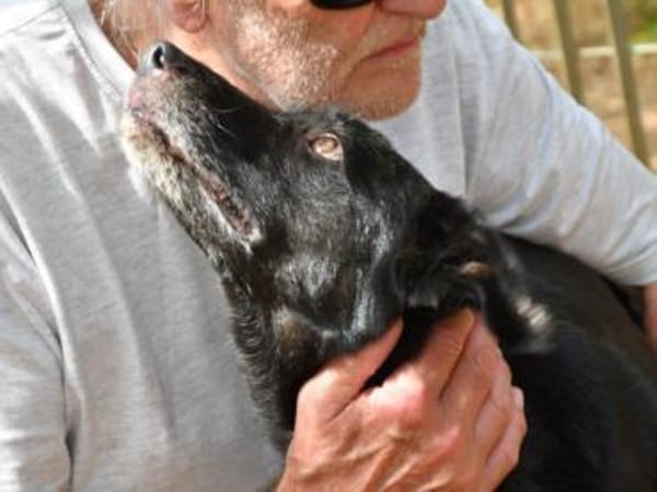 Schenken Sie Zeus ein Zuhause?