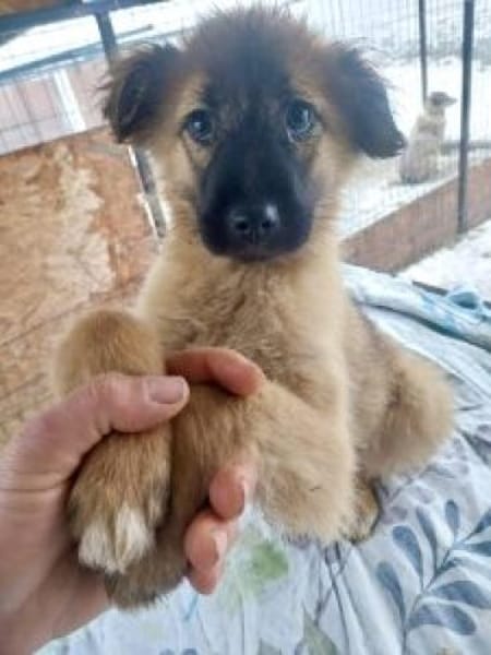 Matilda 30 cm (Jan 26) Pflegestelle