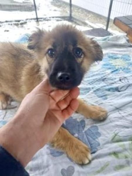 Matilda 30 cm (Jan 26) Pflegestelle