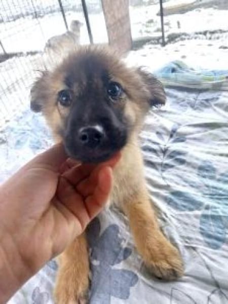 Matilda 30 cm (Jan 26) Pflegestelle