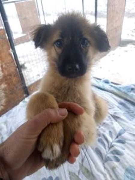 Matilda 30 cm (Jan 26) Pflegestelle