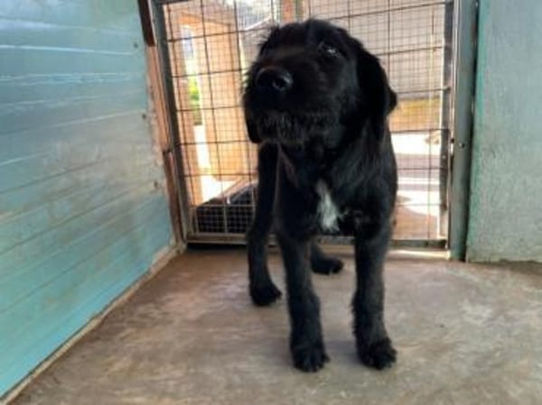 Laura wünscht sich Zuwendung