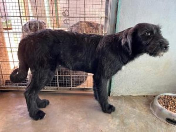 Laura wünscht sich Zuwendung