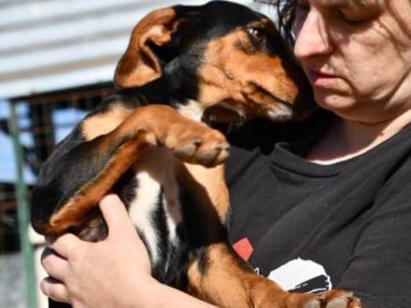 Xenon wünscht sich seine Familie