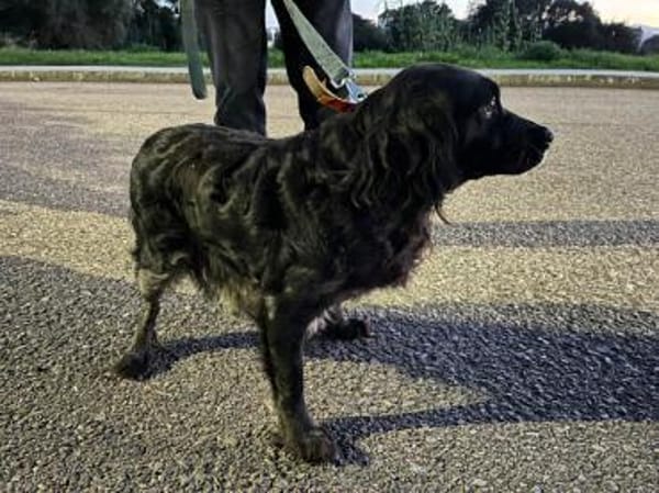 Geben Sie Maya Hoffnung?