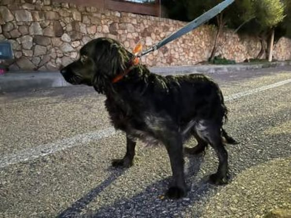 Geben Sie Maya Hoffnung?