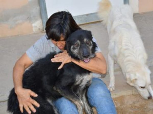 Bonnie wünscht sich ein Zuhause