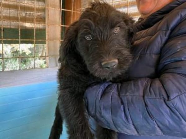 Luki möchte die Welt mit Ihnen entdecken