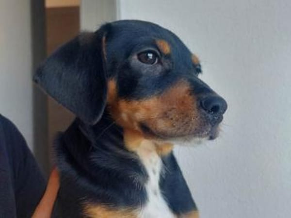 Olga möchte ihre Familie finden