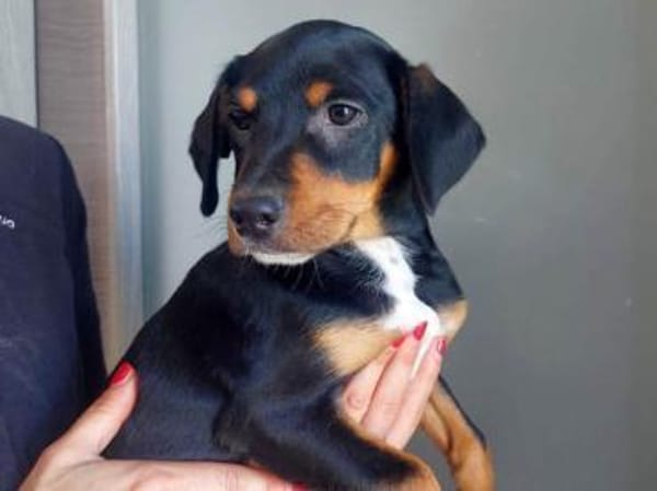 Olga möchte ihre Familie finden