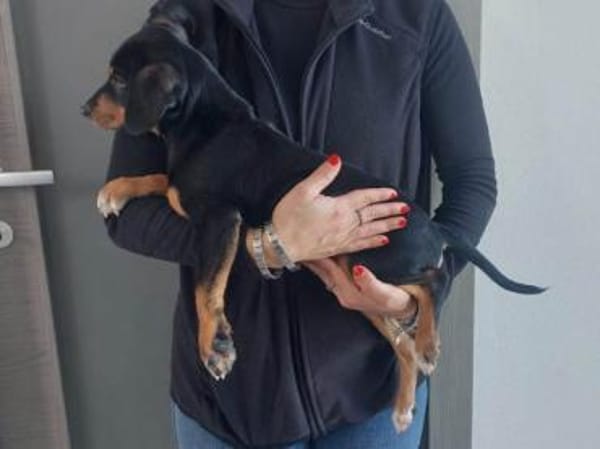 Olga möchte ihre Familie finden