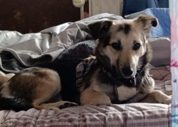 Debby möchte eine Familie