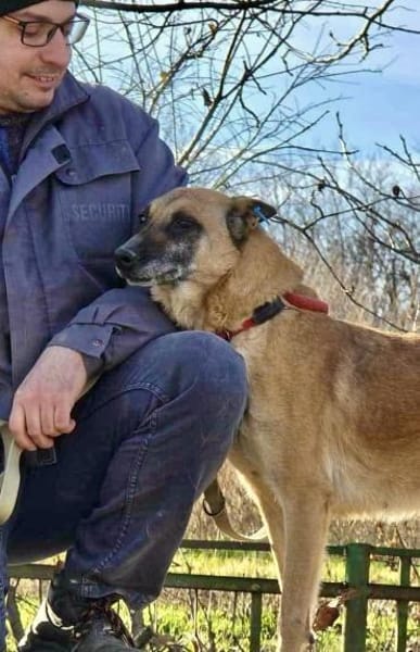 Notfallhund RUBY sucht DRINGEND🆘‼🆘