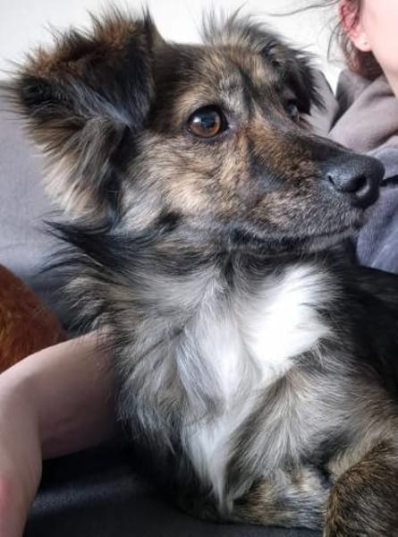 Kinderliebe sehr soziale kleine TITA ♥