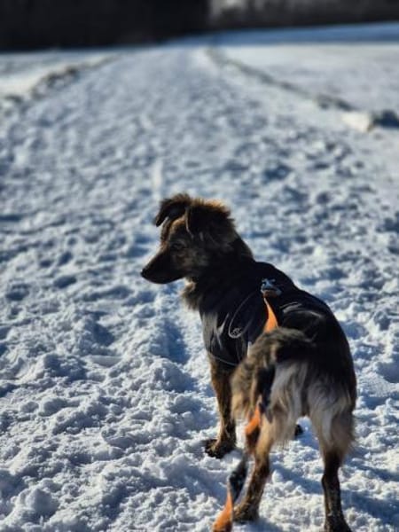 Kinderliebe sehr soziale kleine TITA ♥