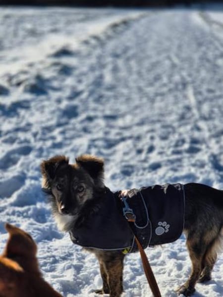 Kinderliebe sehr soziale kleine TITA ♥